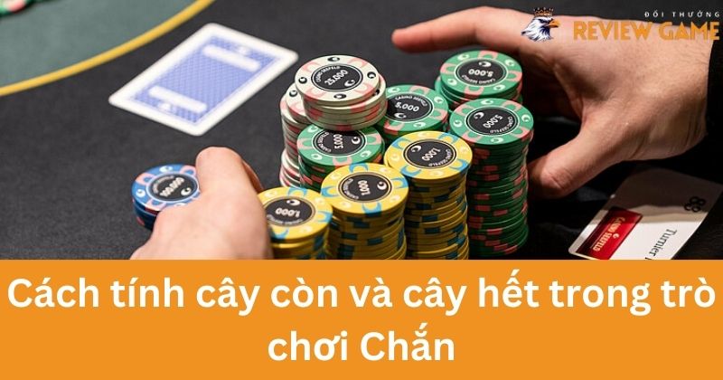 Cách tính cây còn và cây hết trong trò chơi Chắn